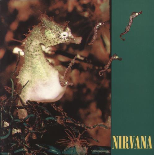 NIRVANA allapologies 12インチアナログUK版